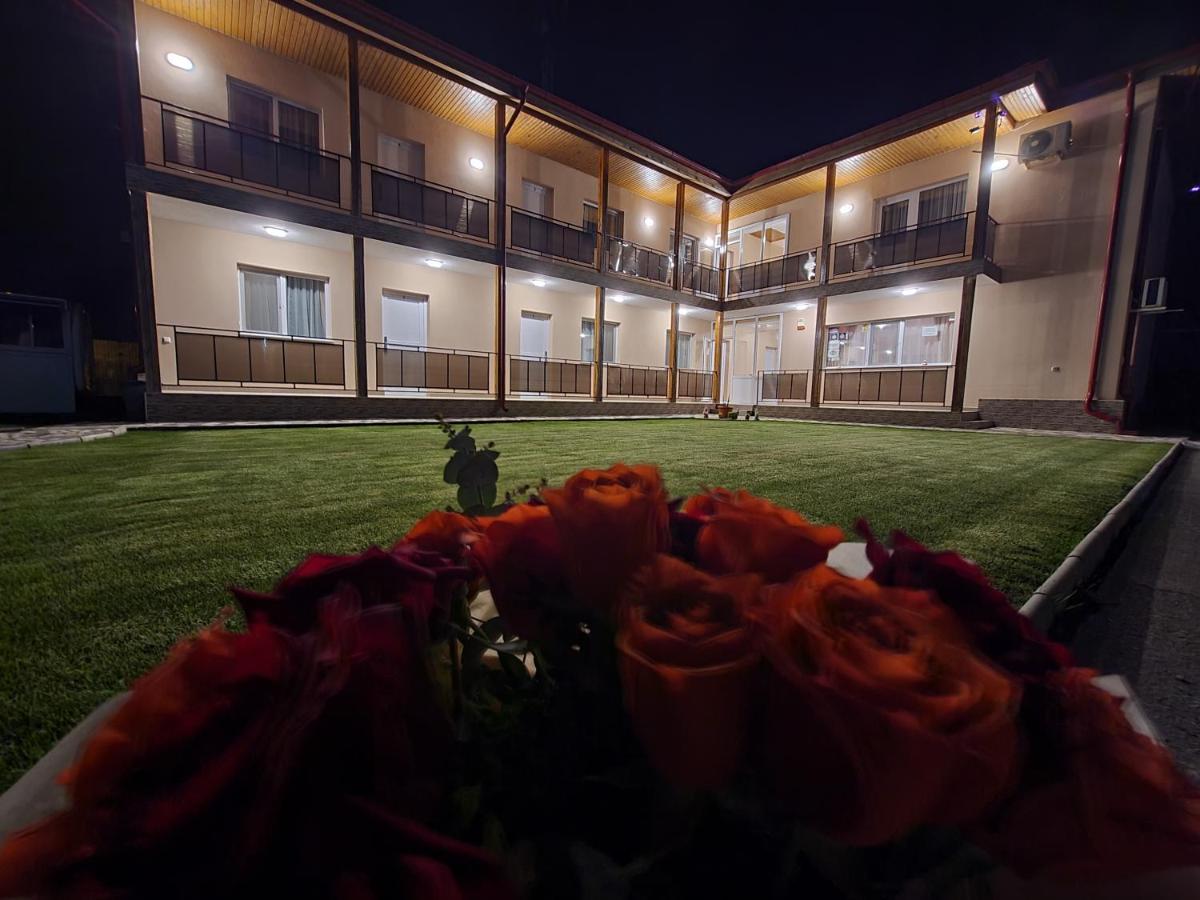 Vila Sophia Vama Veche Exterior foto
